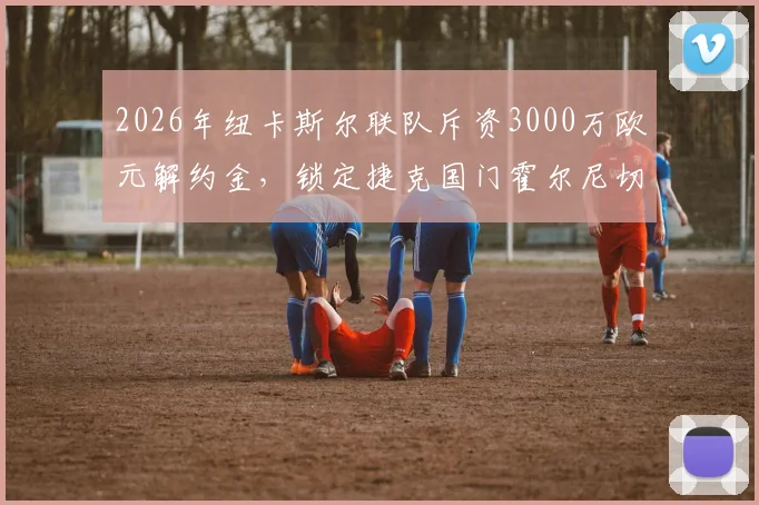 2026年纽卡斯尔联队斥资3000万欧元解约金，锁定捷克国门霍尔尼切克，门将位置重磅升级